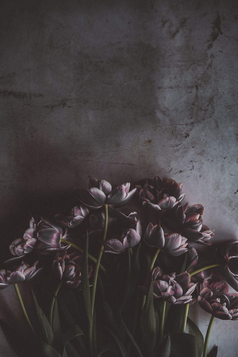 1000x1499 Floral Wallpaper: Free HD Download [HQ]