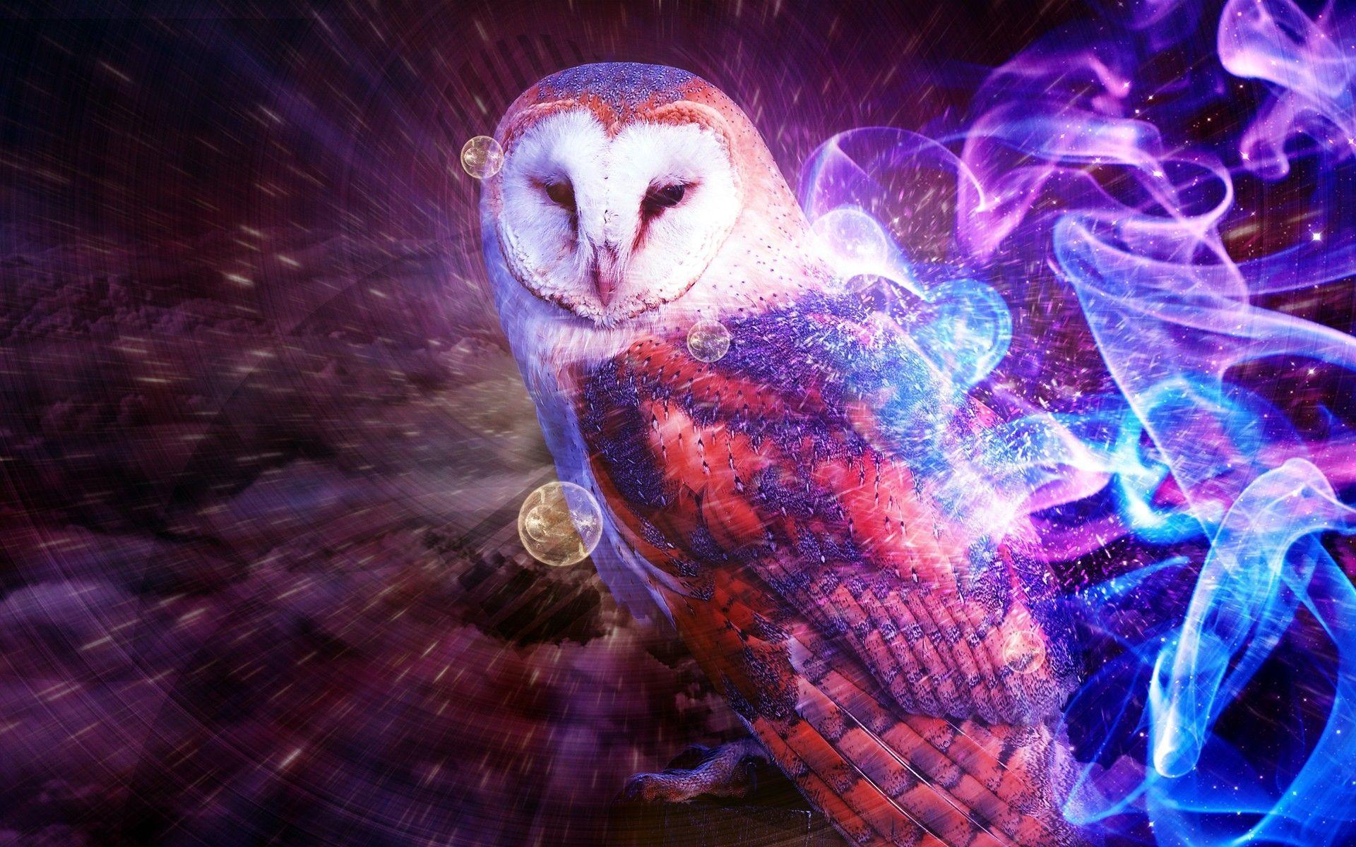 1920x1200 Owls Background