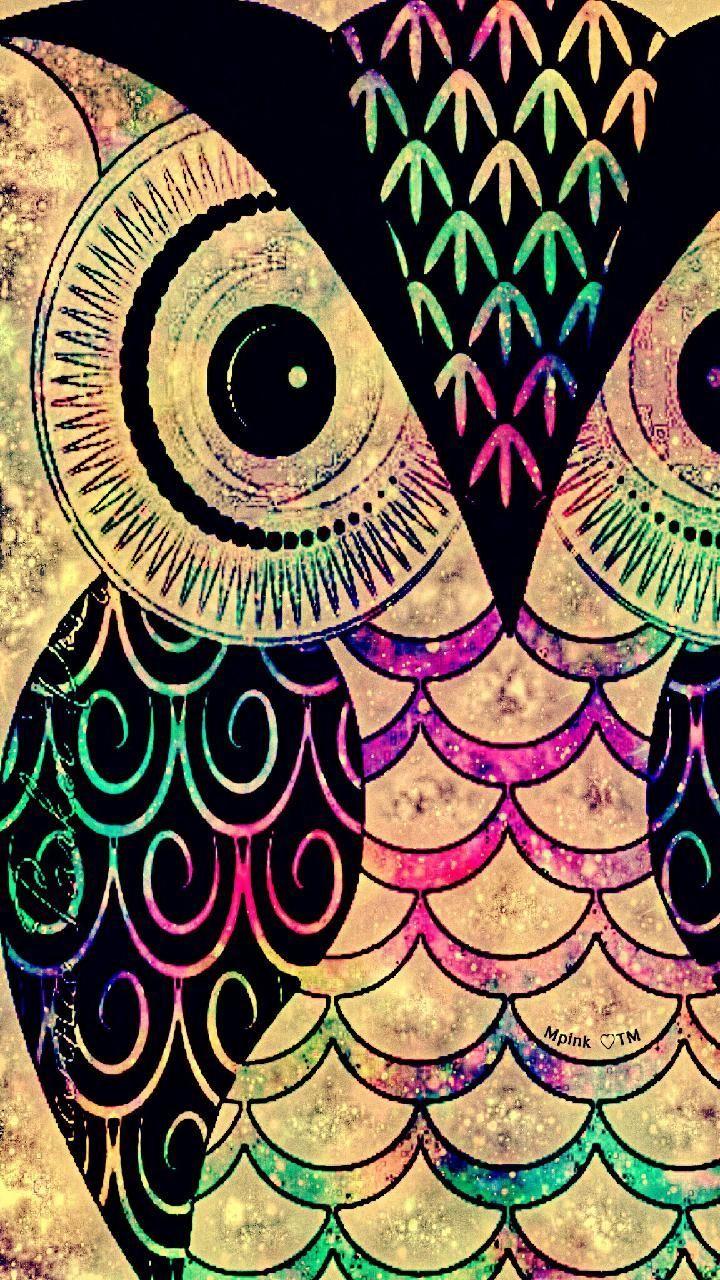720x1280 Golden Owl Galaxy Wallpaper #androidwallpaper #iphonewallpaper