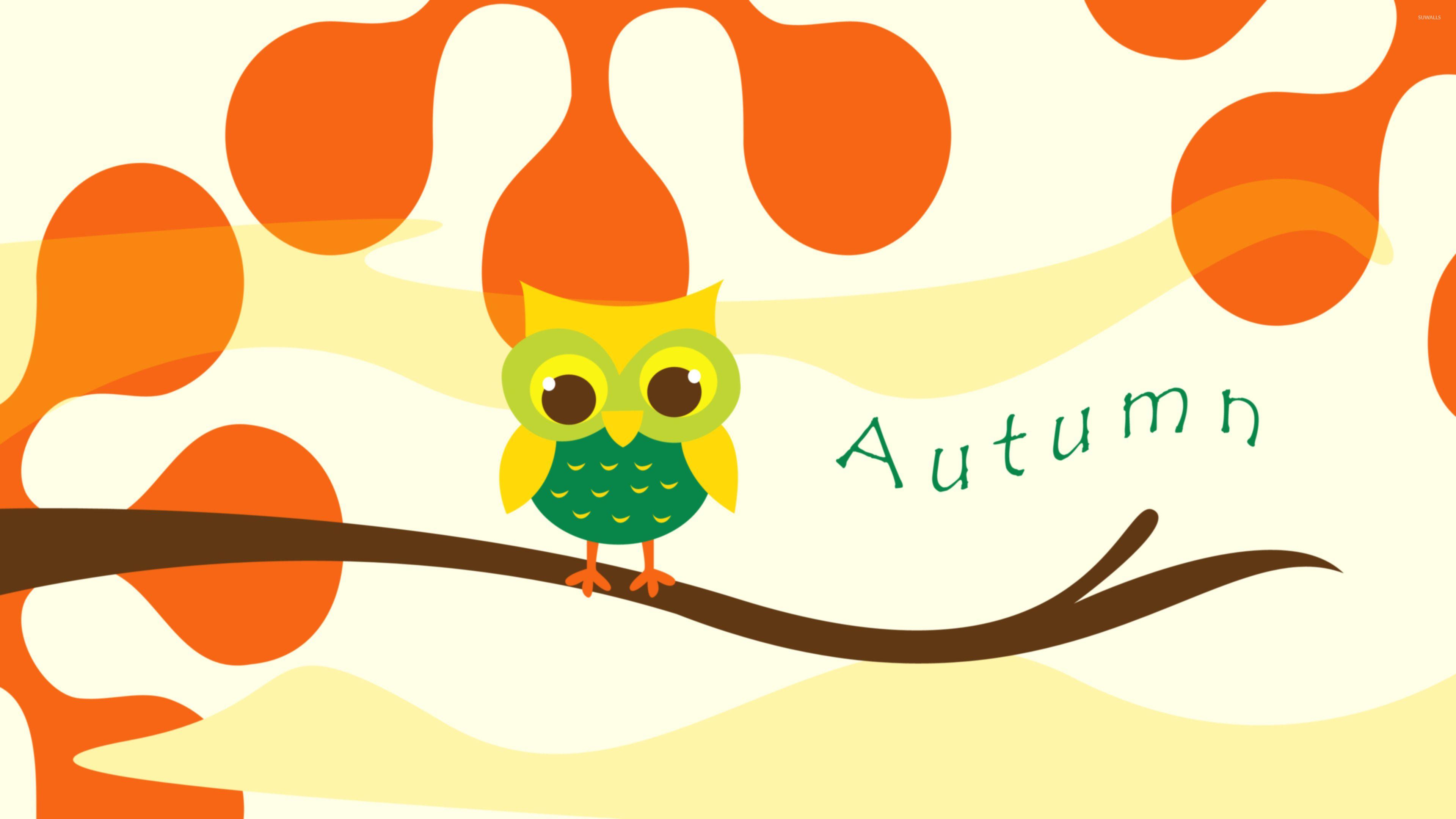 3840x2160 Cute owl on a branch wallpaper wallpaper