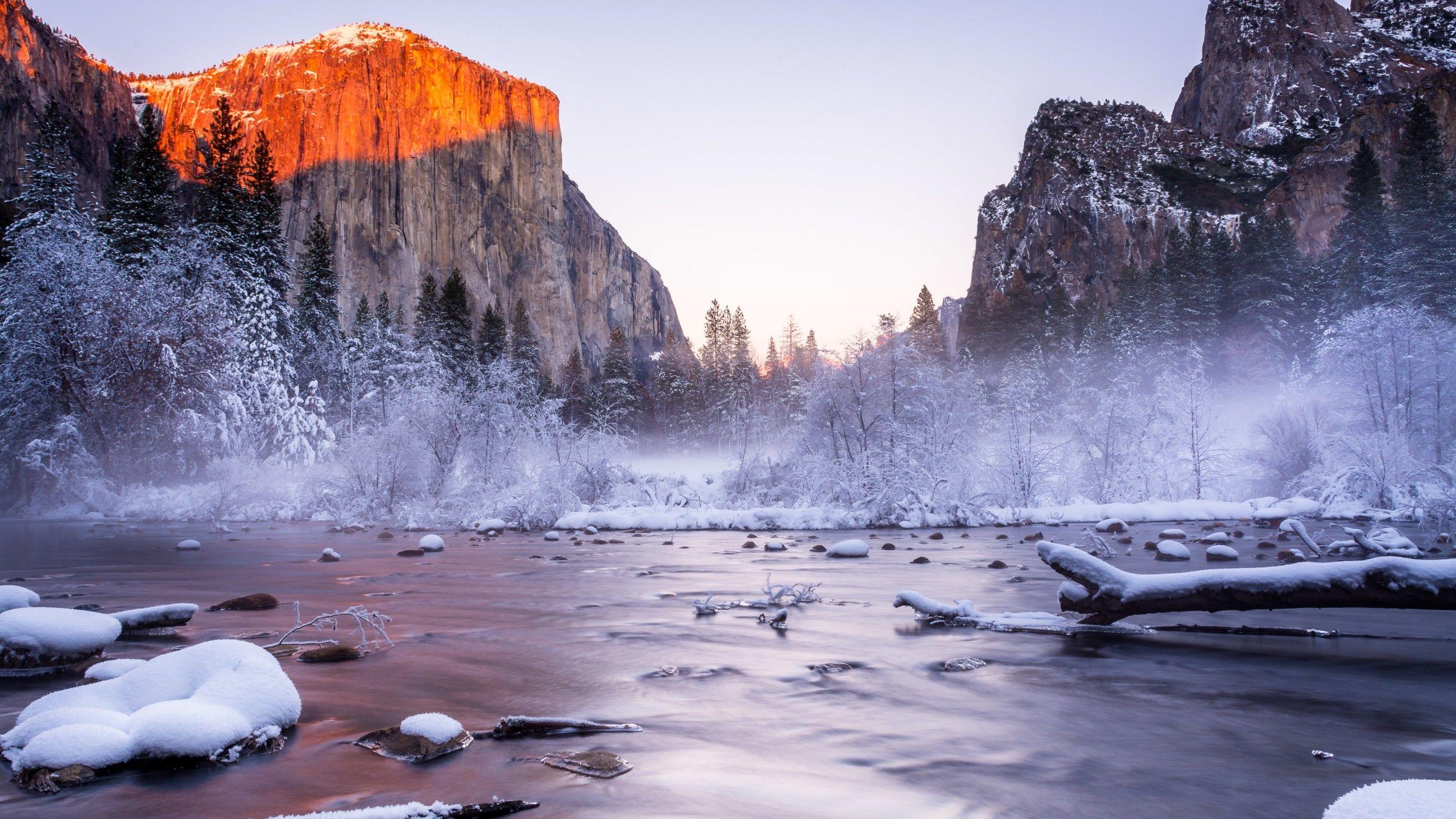 2560x1440 Wallpaper Yosemite, 5k, 4k wallpaper, National Park, California