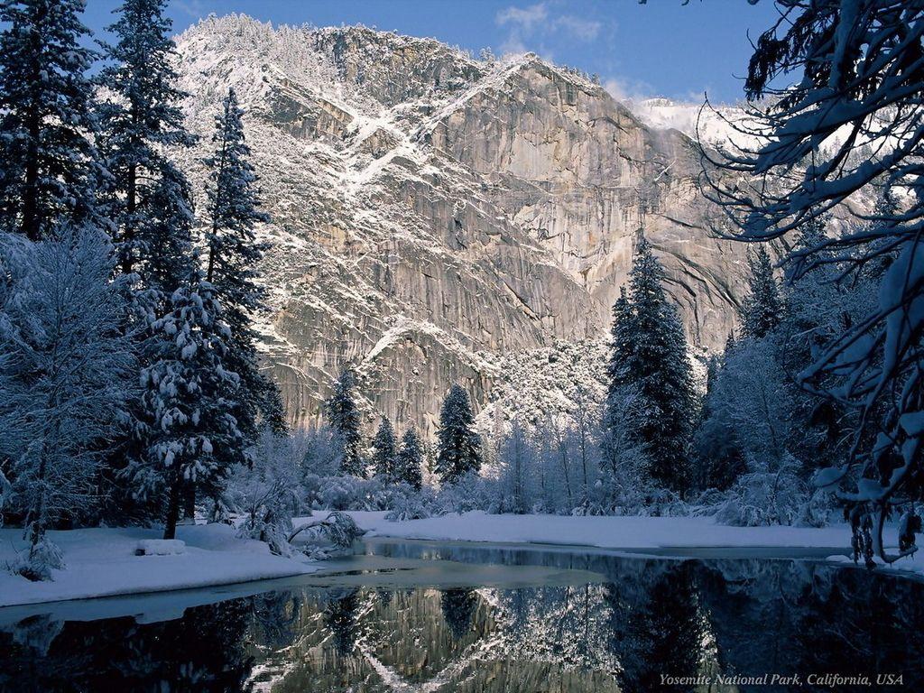 1024x768 Winter wallpaper