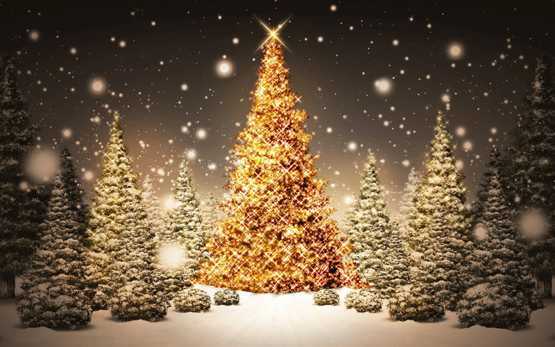 1920x1200 Christmas Tree Desktop Wallpaper 7