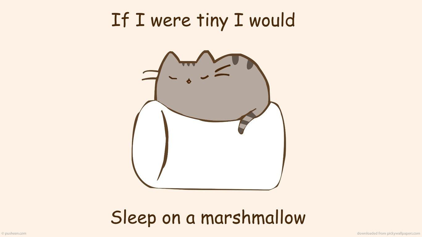 1366x768 Pusheen The Cat Wallpaper