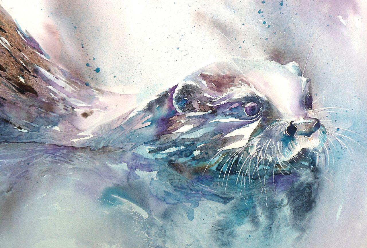 1280x866 Wallpaper Animals Pictorial art Painting Art Eurasian otter