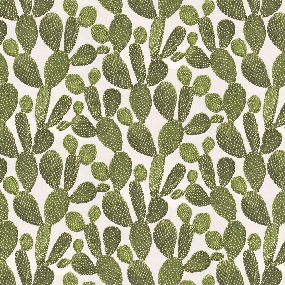 1000x1000 Cactus by Albany : Wallpaper Direct