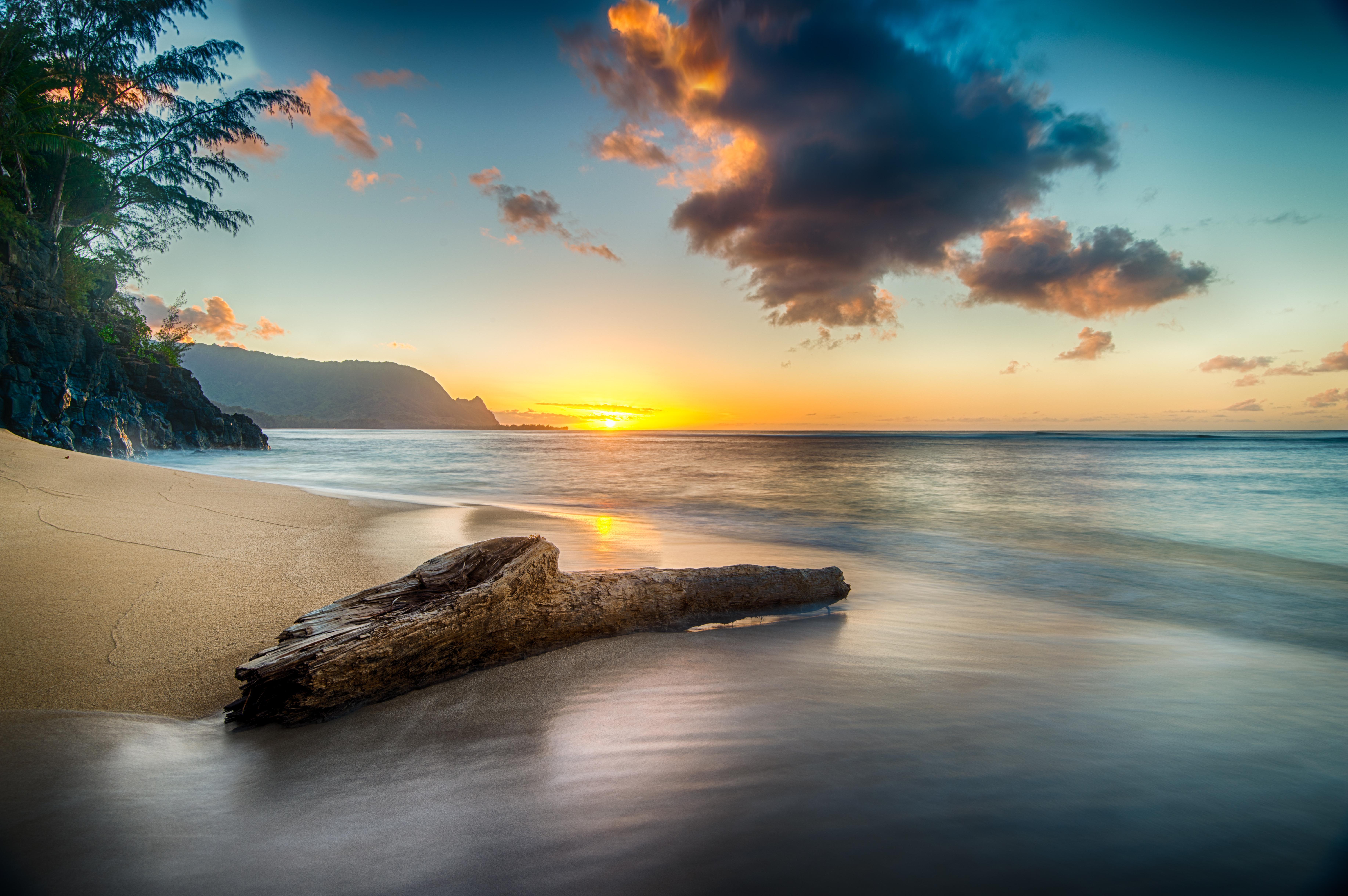 7341x4881 Driftwood On Beach At Sunset On North Shore Of Kauai 8k, HD Nature