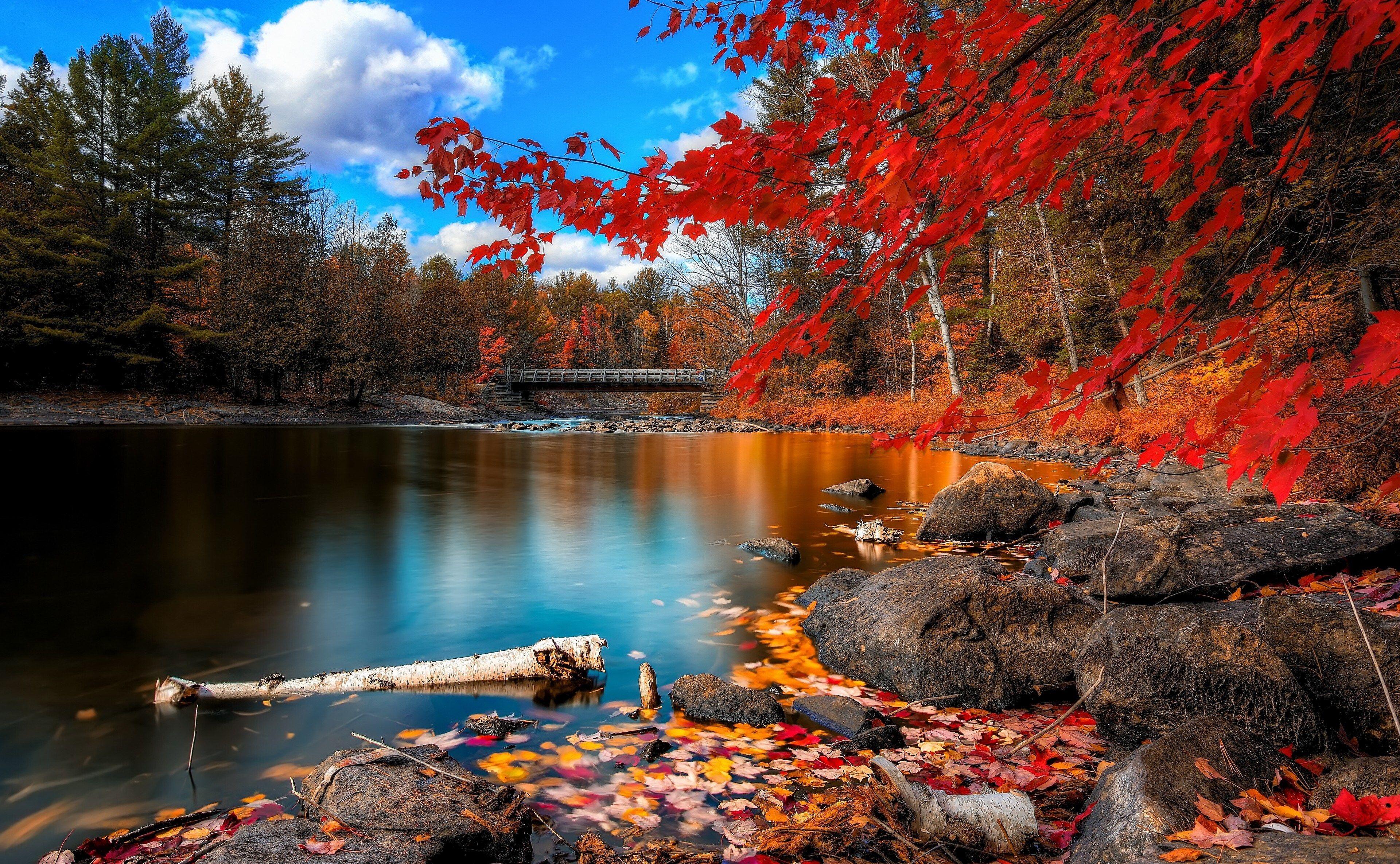 3840x2370 3840x2370 autumn forest 4k cool pc wallpaper. Mocah.org HD