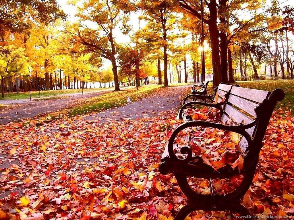 1024x768 Free Downloadable Wallpaper For PC Autumn Landscape Photo Of