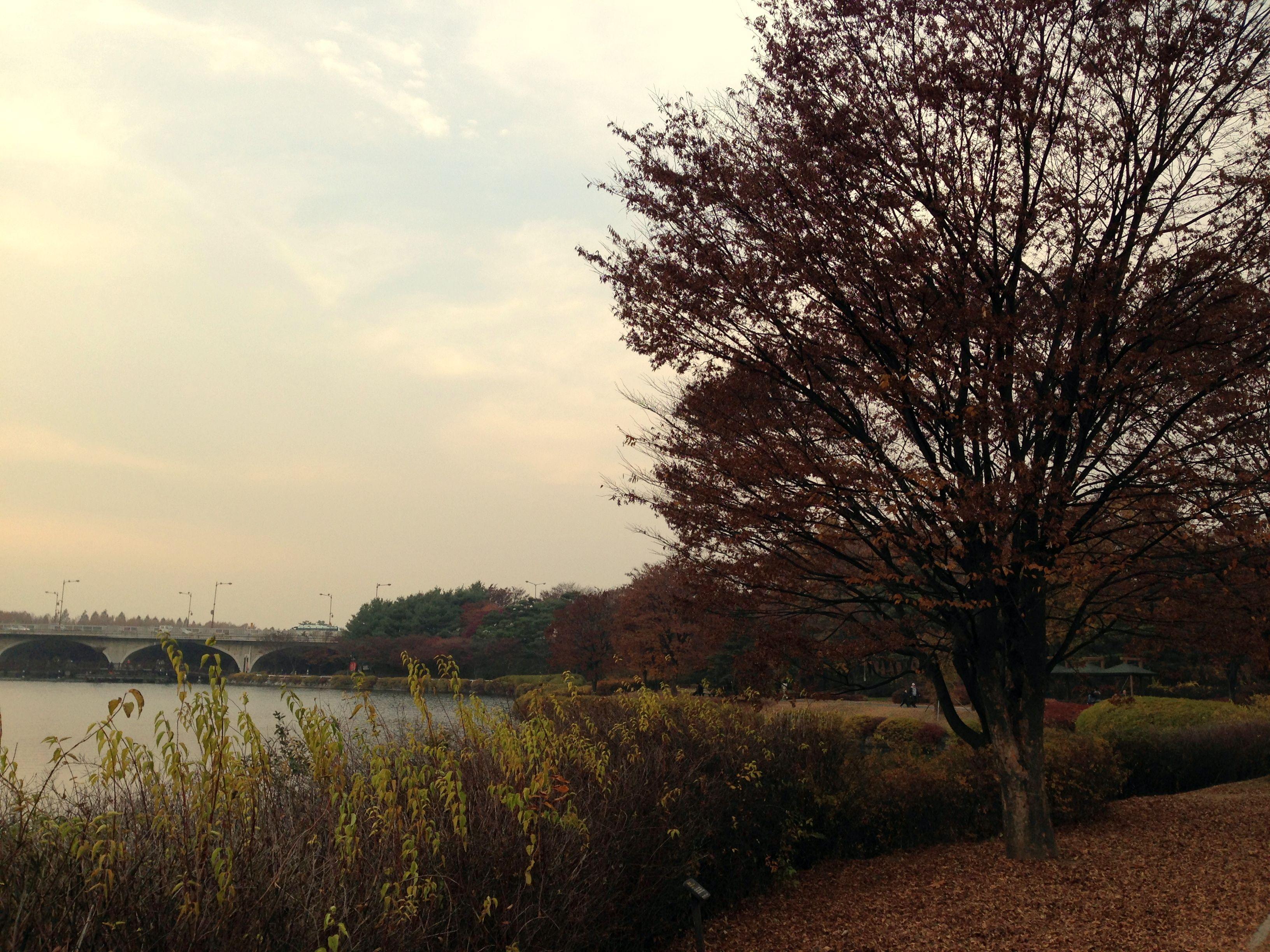 3264x2448 Lake Park In Ilsandong Gu Goyang Si Gyeonggi Do S. Korea. Korean