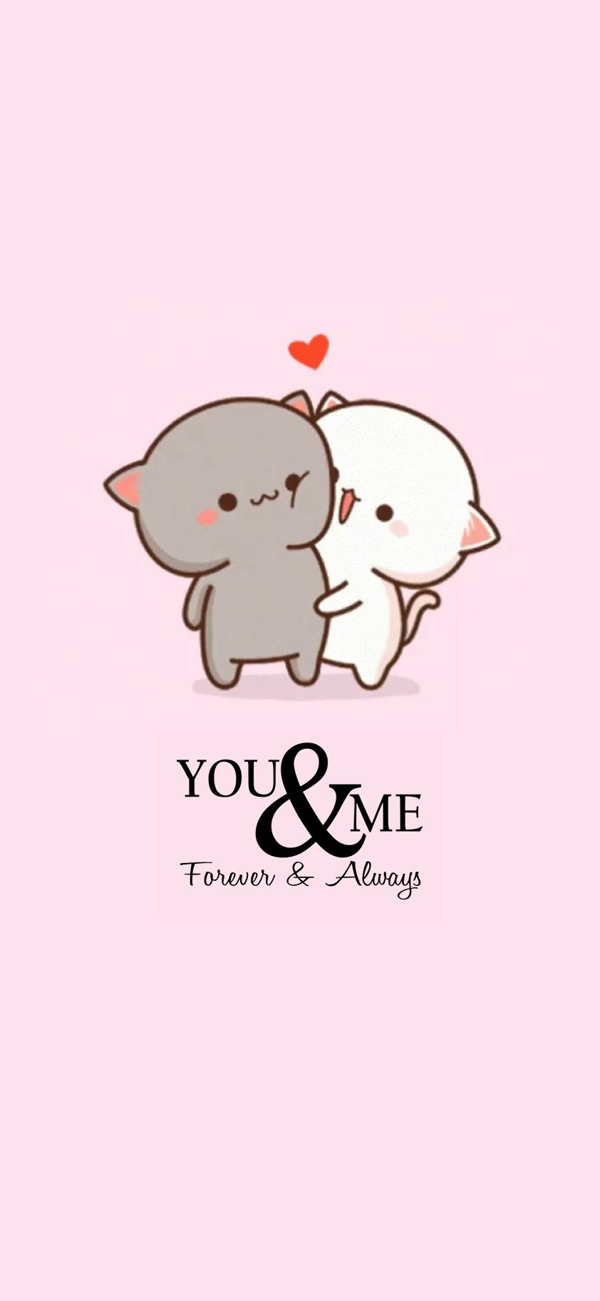 842x1824 Cute iPhone Wallpaper Best HD Cute iPhone Background