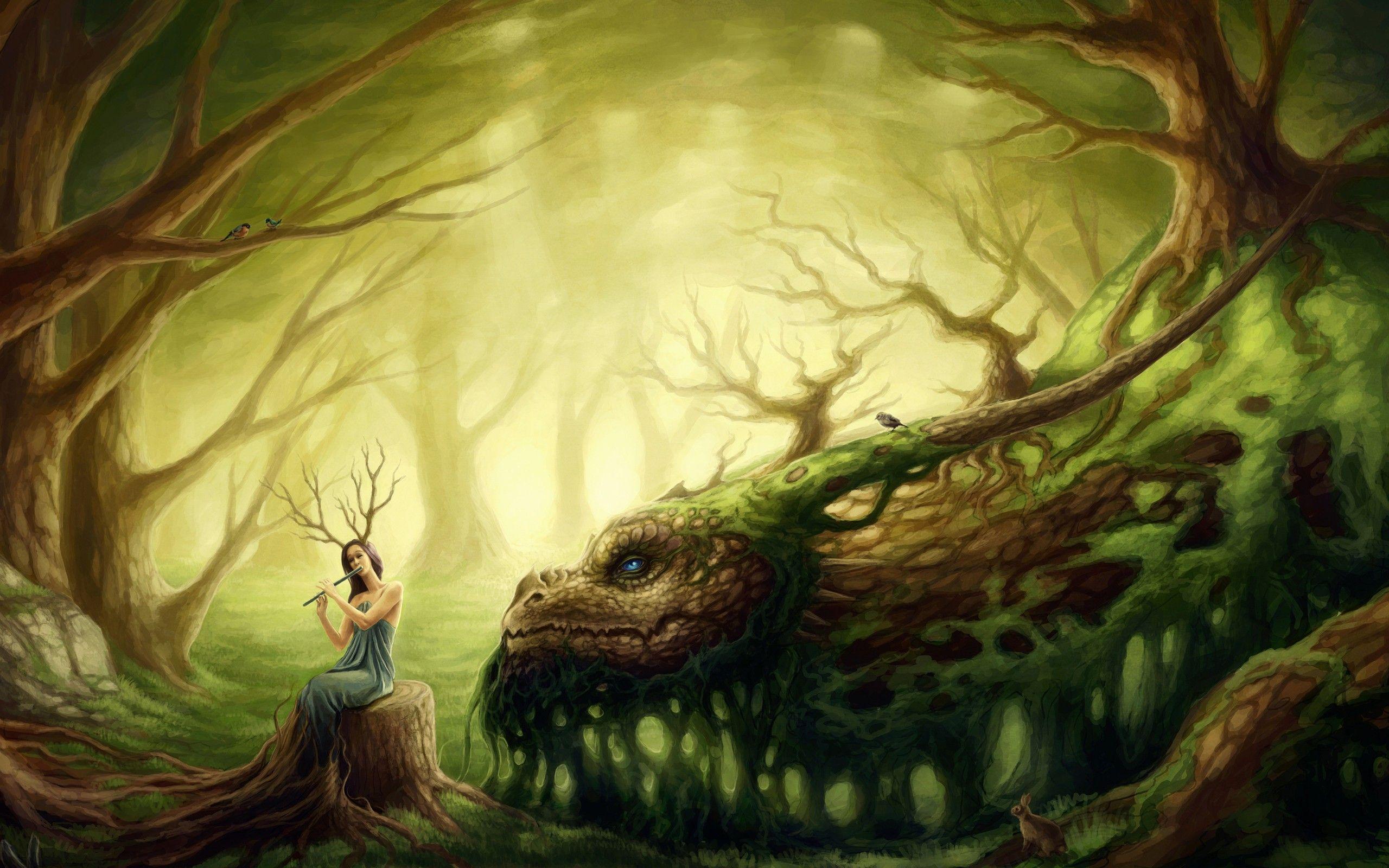 2560x1600 Fantasy wallpaperx1600