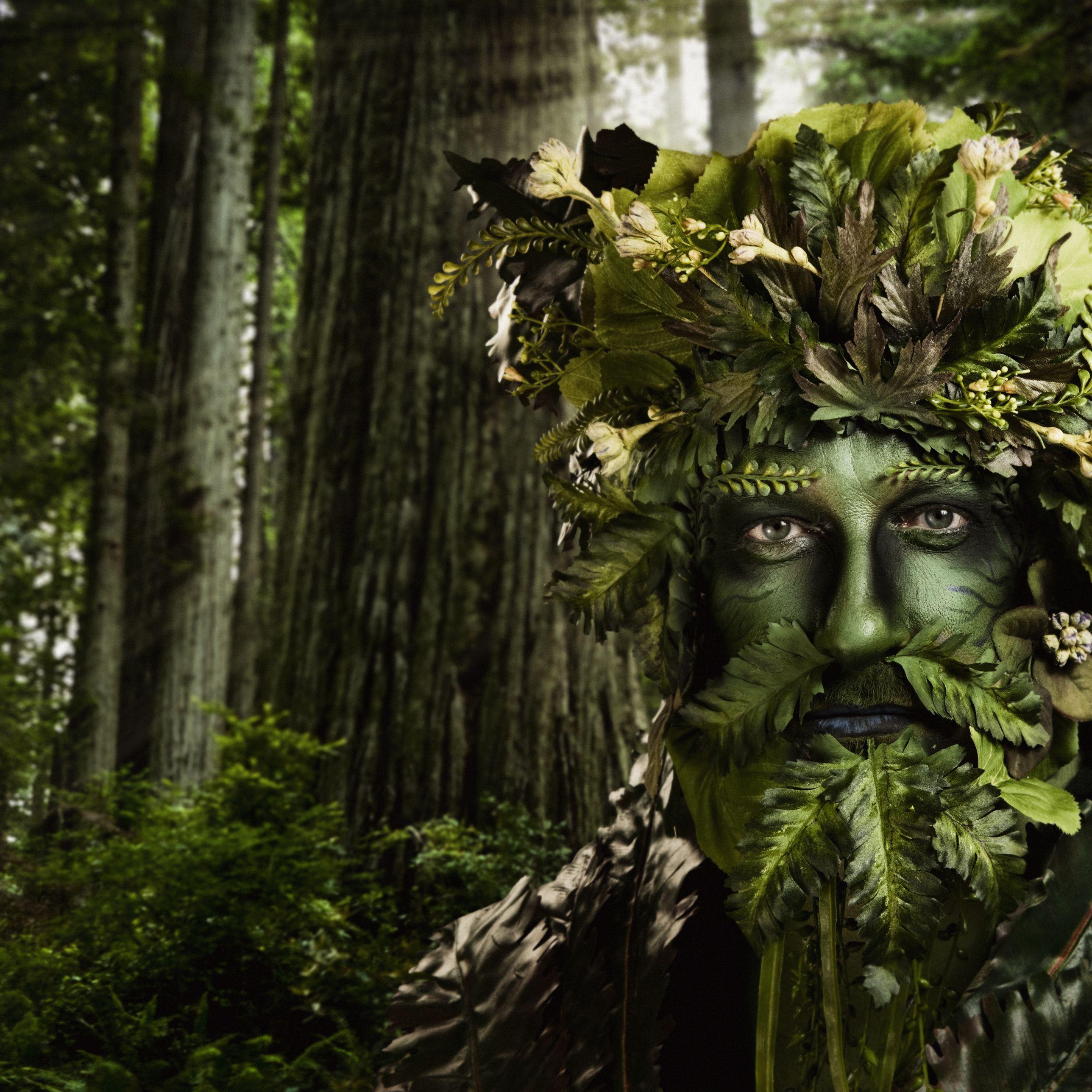 2576x2576 The 13 Months of the Celtic Tree Calendar