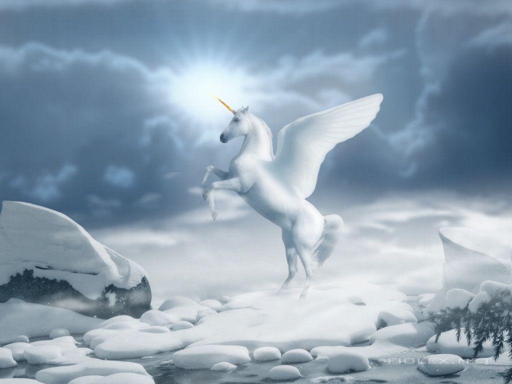 1024x768 pic new posts: HD Wallpaper Unicorn