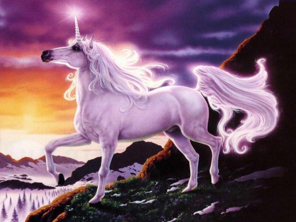 1024x768 Image detail for -HD Unicorn Wallpaper Desktop. High Definition