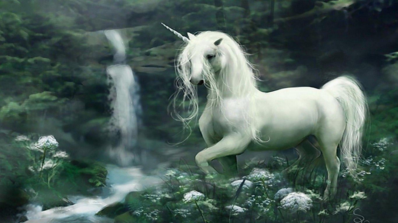 1366x768 White Unicorn HD desktop wallpaper : Widescreen : High Definition