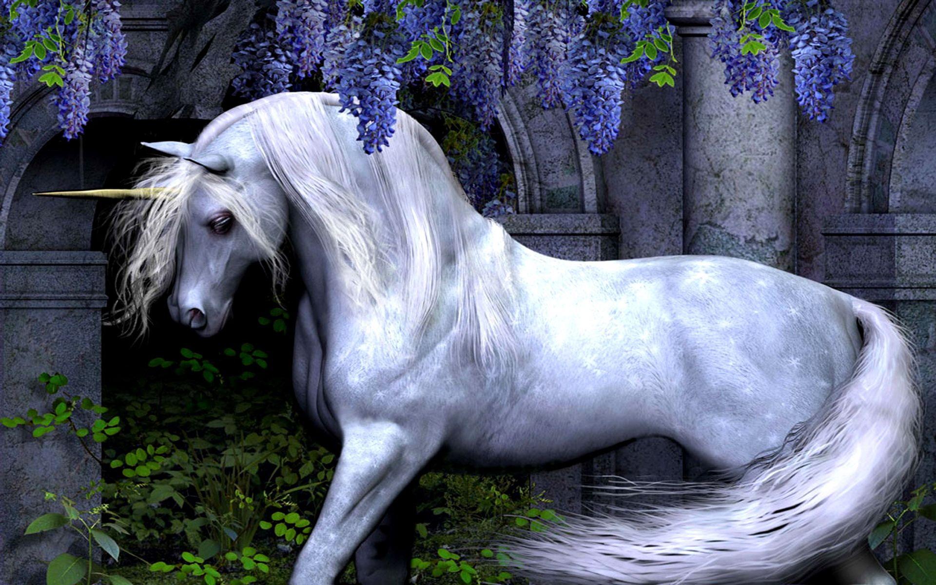 1920x1200 Unicorns Background Collection for Mobile, B.SCB
