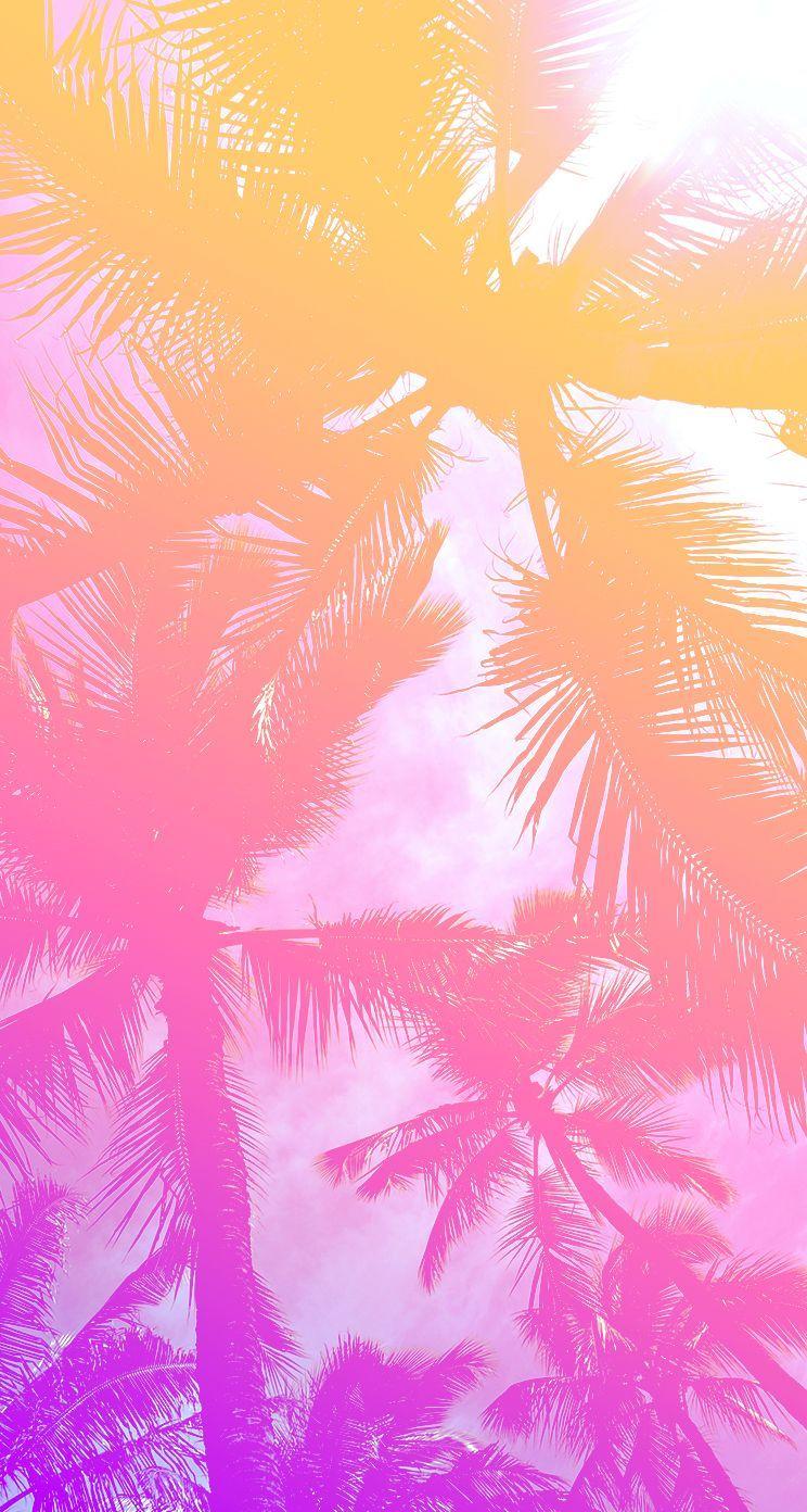 Pink Palm Leaf Wallpapers - Top Free Pink Palm Leaf Backgrounds ...
