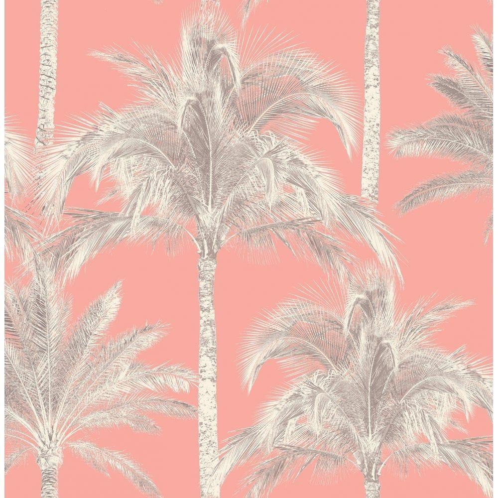 1000x1000 Miami Palm Tree Wallpaper Coral (FD40905) from I Love