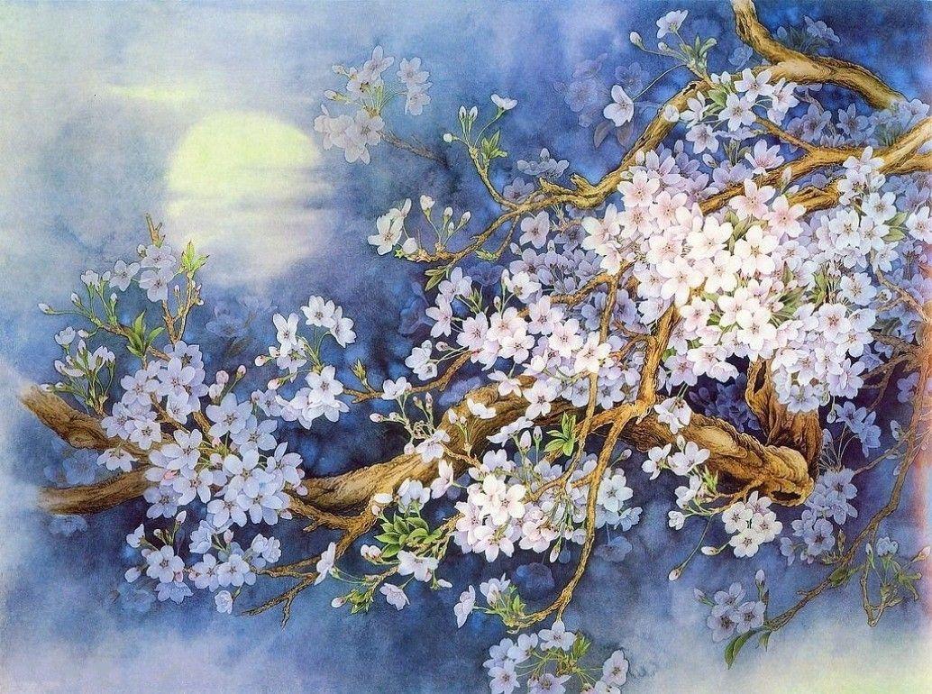 1034x770 Flower: Cherry Blossom Sakura White Painting Flower Sweet Floral