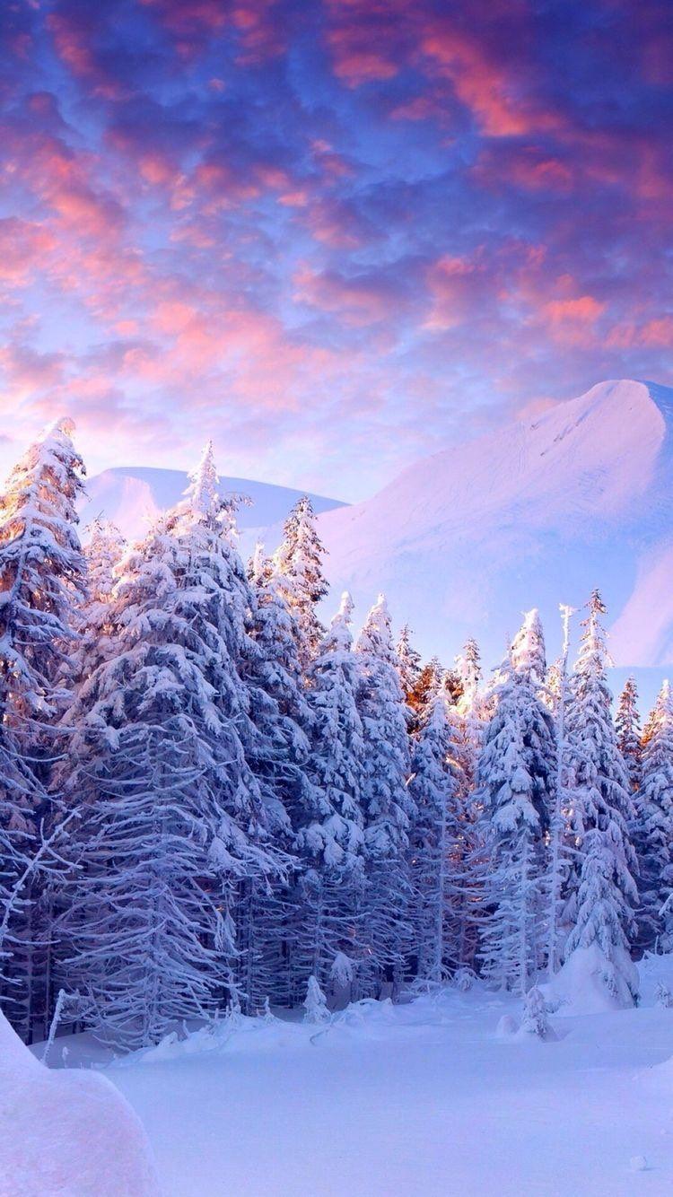 750x1334 iPhone and Android Wallpaper: Snowy Winter Landscape Wallpaper for iPhone and Android. Landscape wallpaper, Winter landscape, iPhone wallpaper winter