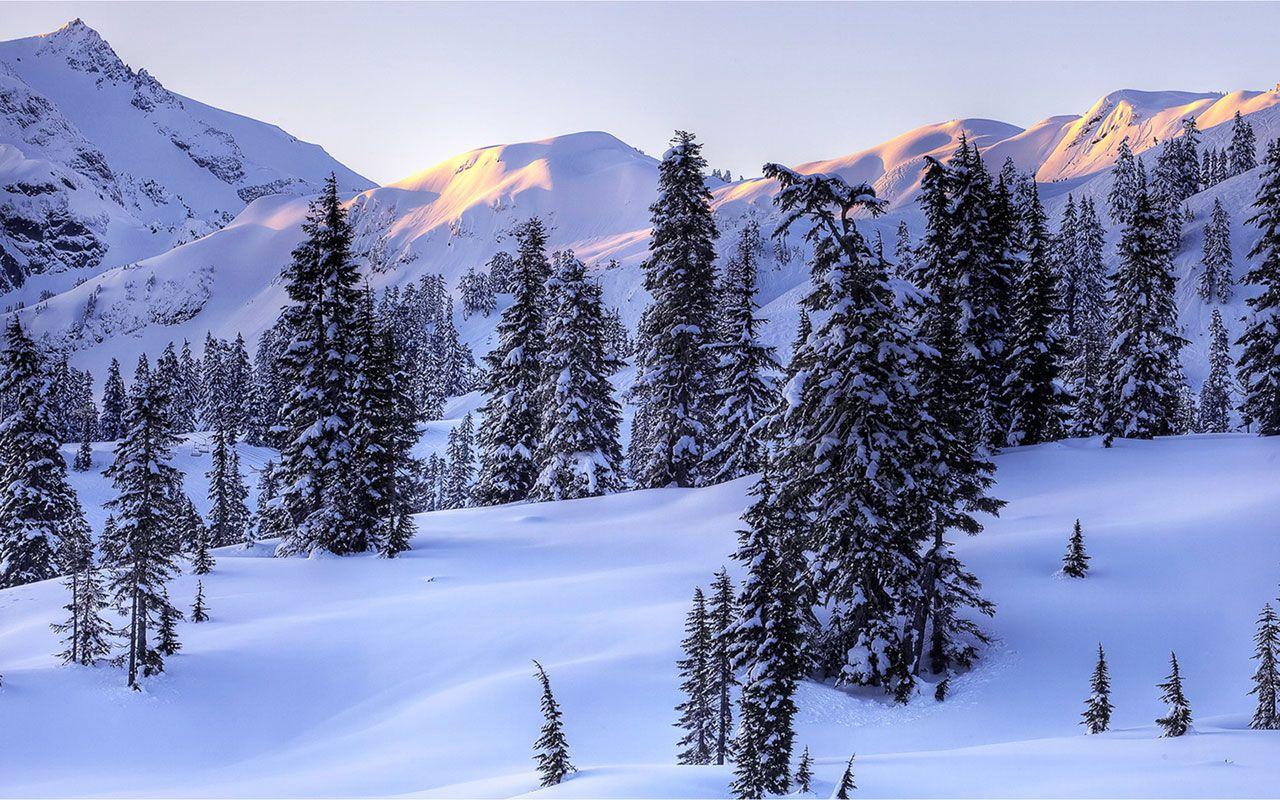1280x800 Preview Snowy Landscapes Cover