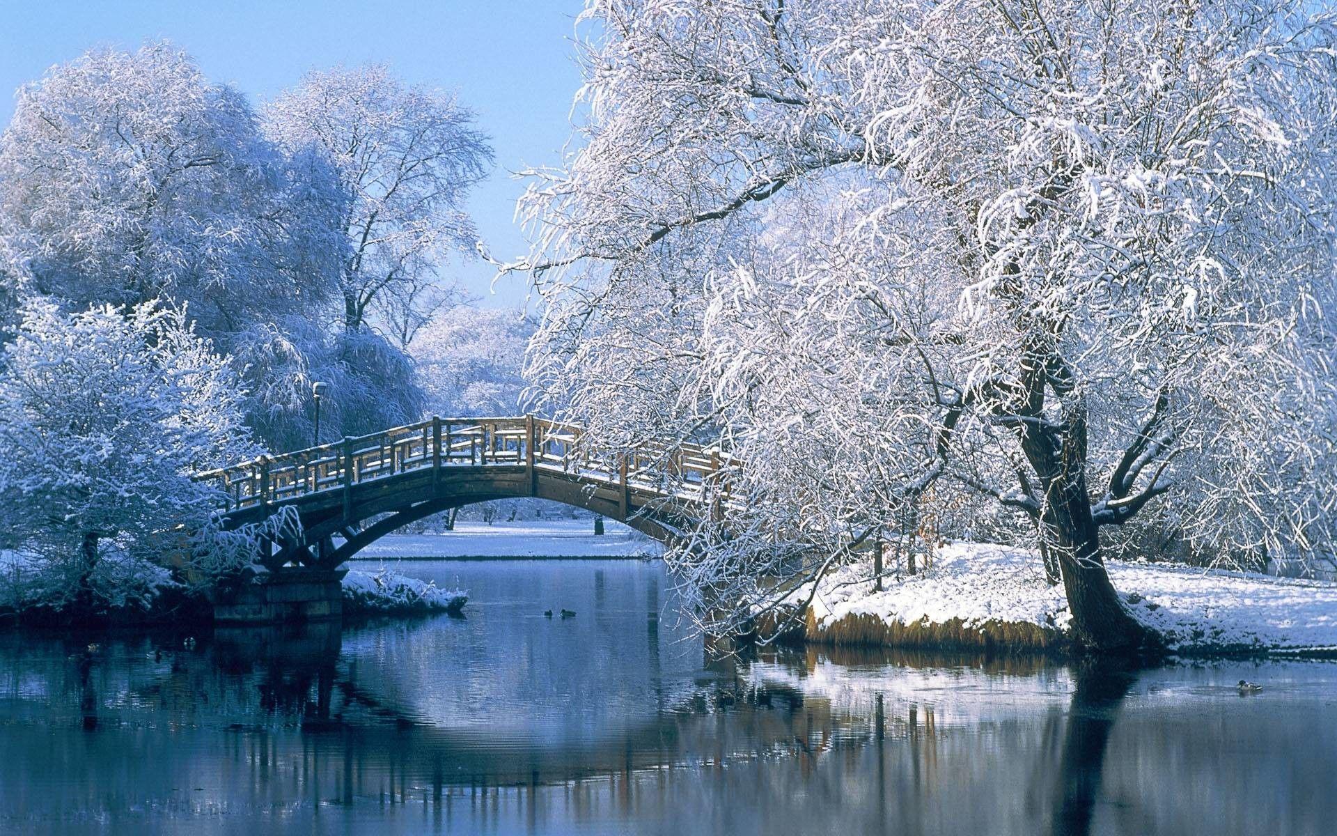 1920x1200 Snow Scenery Wallpaper