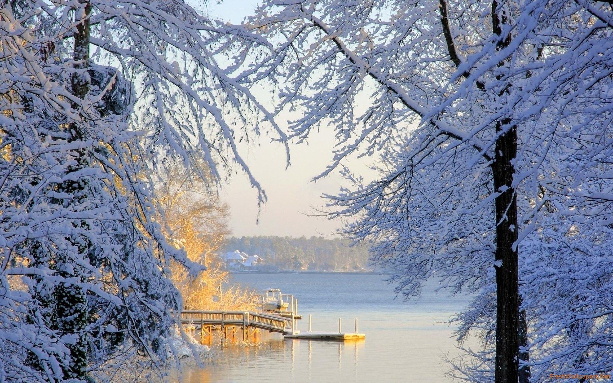Картинка зимний период. Красивая зима. Зимний пейзаж. Зимняя природа. Декабрь природа.