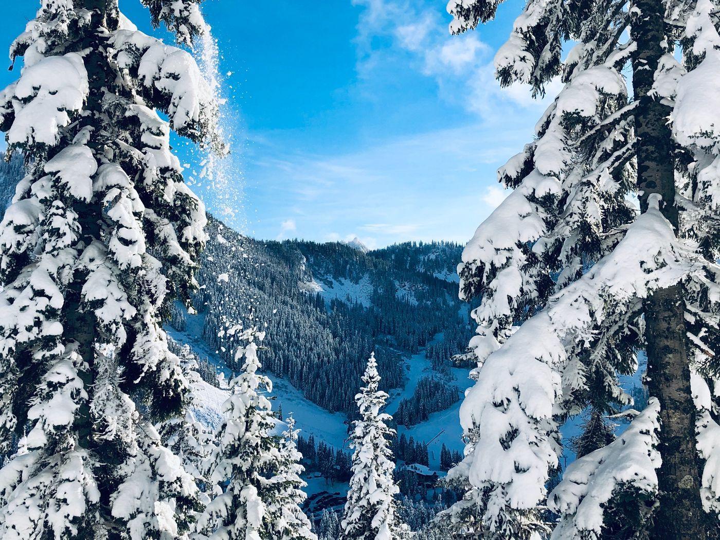 1400x1050 Download Wallpaper 1400x1050 Winter, Snow, Trees, Fir Trees, Snowy, Landscape Standard 4:3 HD Background