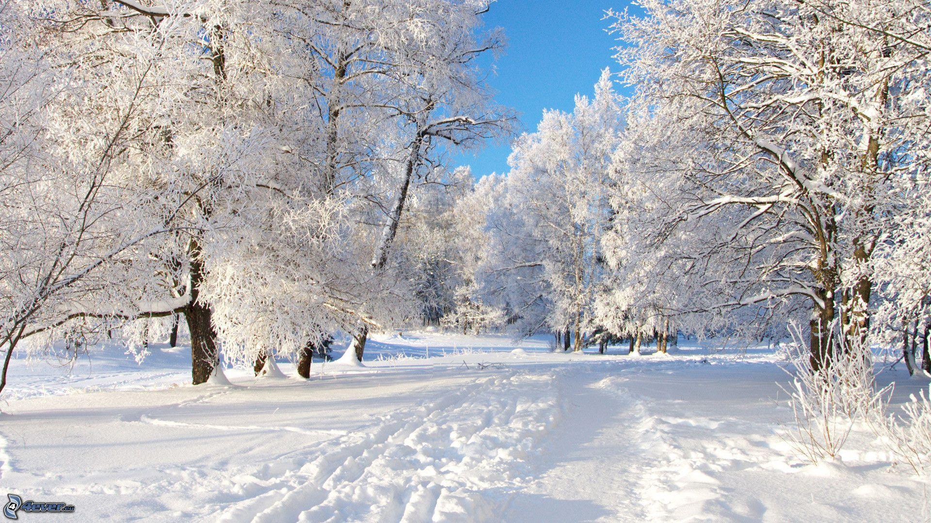 1920x1080 Snowy landscape