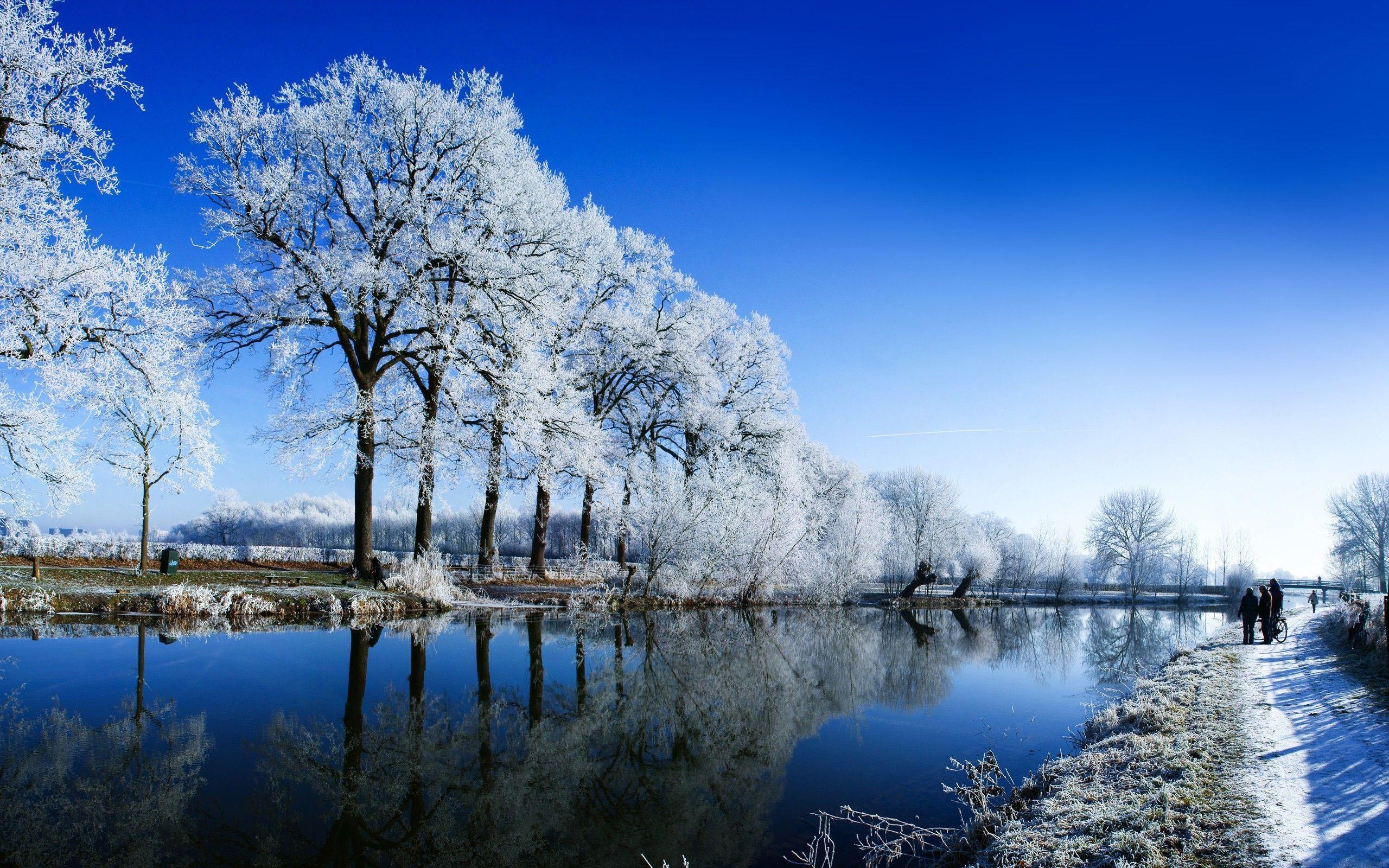 2560x1600 Free download Winter landscape Wallpaper 9600 [2560x1600] for your Desktop, Mobile & Tablet. Explore Winter