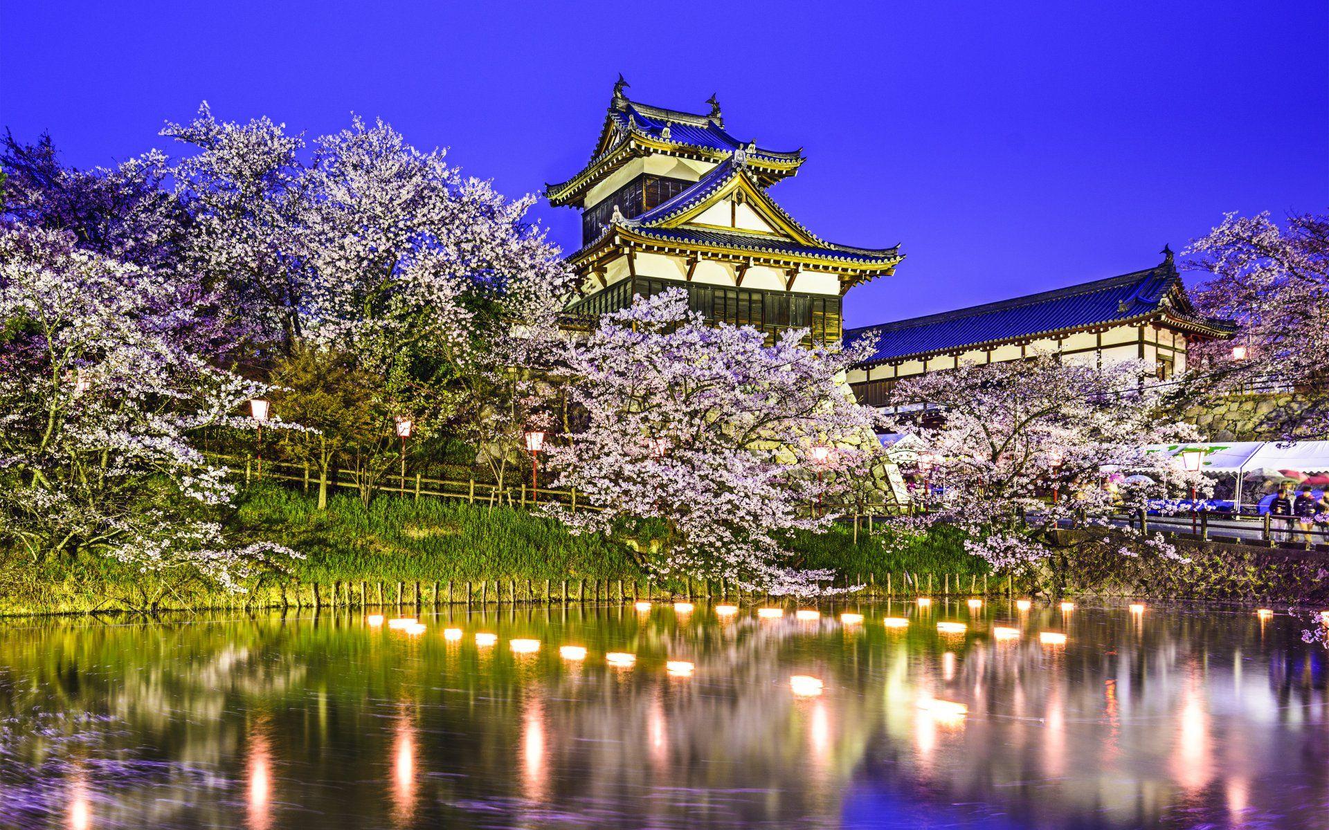 1920x1200 Spring in Japan Wallpaper HD free download