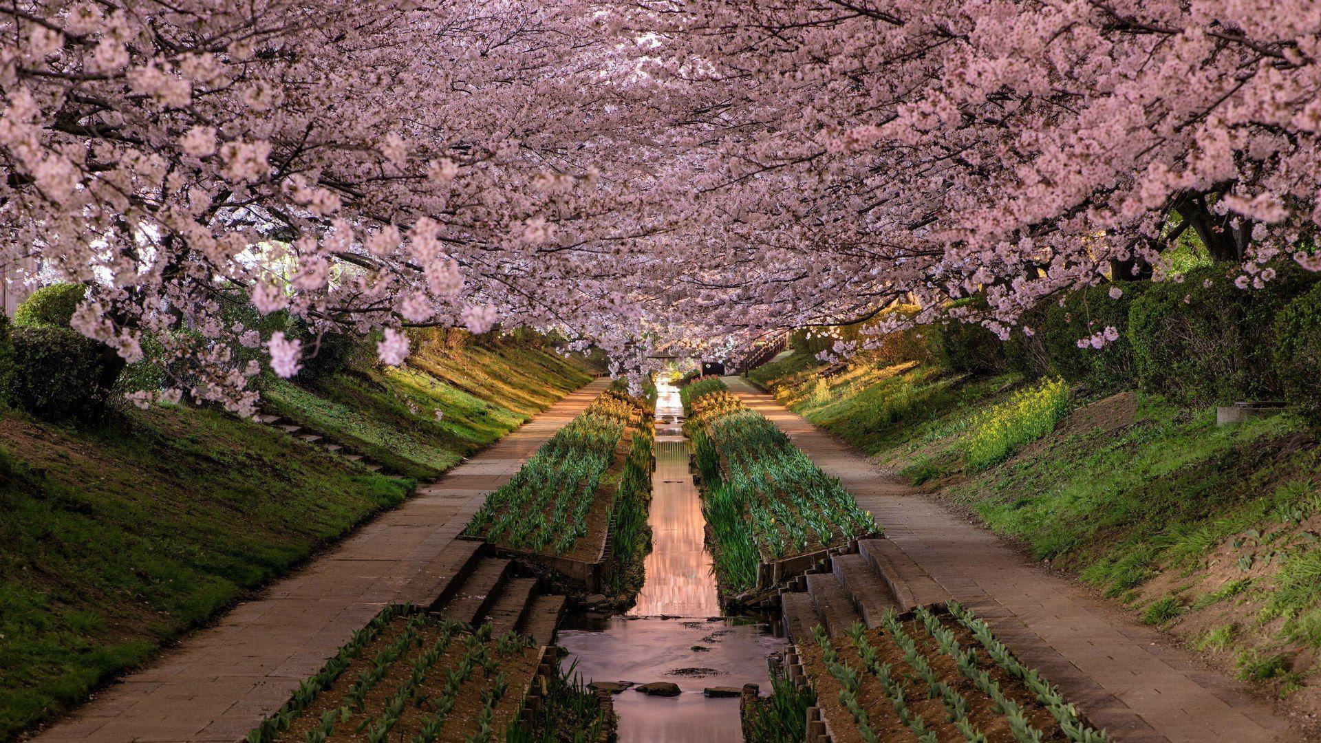 1920x1080 undefined Japan Wallpaper (37 Wallpaper). Adorable Wallpaper