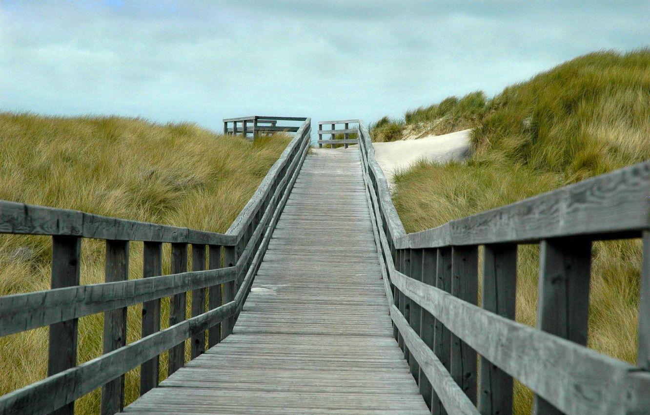 1332x850 Wallpaper grass, beach, wood, wind, cloudy, boardwalk image