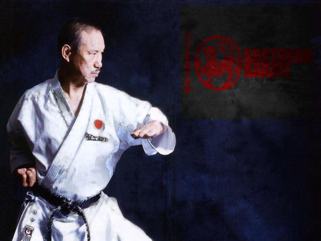 Hình nền Karate 1024x768. Bugei 武 芸