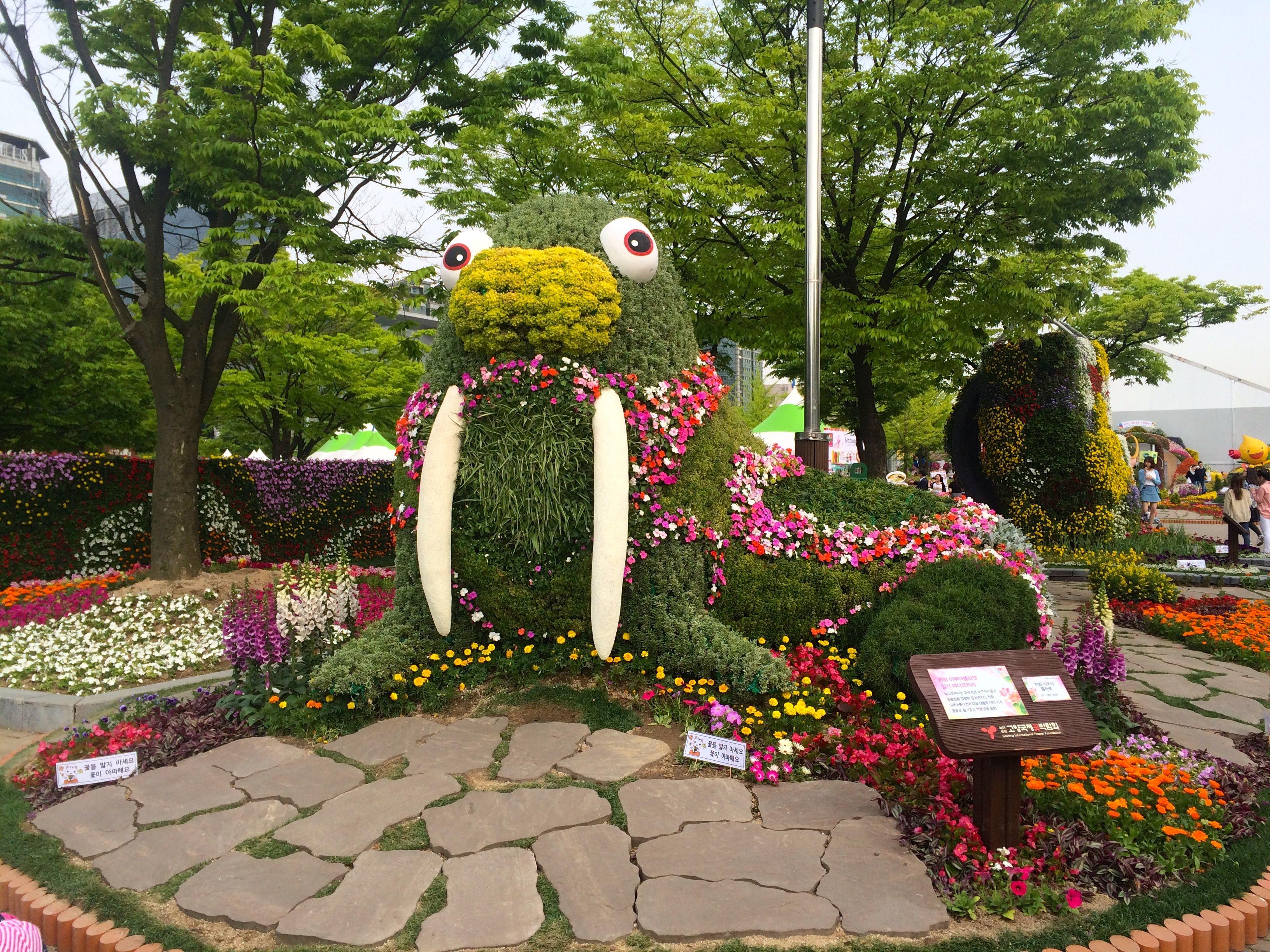 3264x2448 Goyang Flower Festival