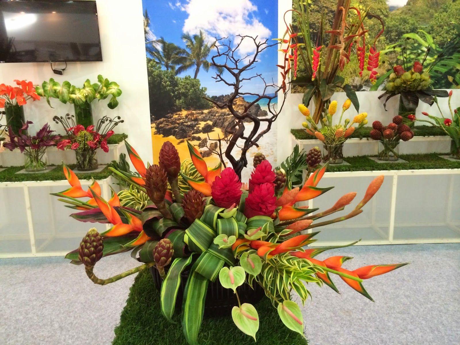 1600x1200 Asa Flowers : Goyang, South Korea International Flower Show