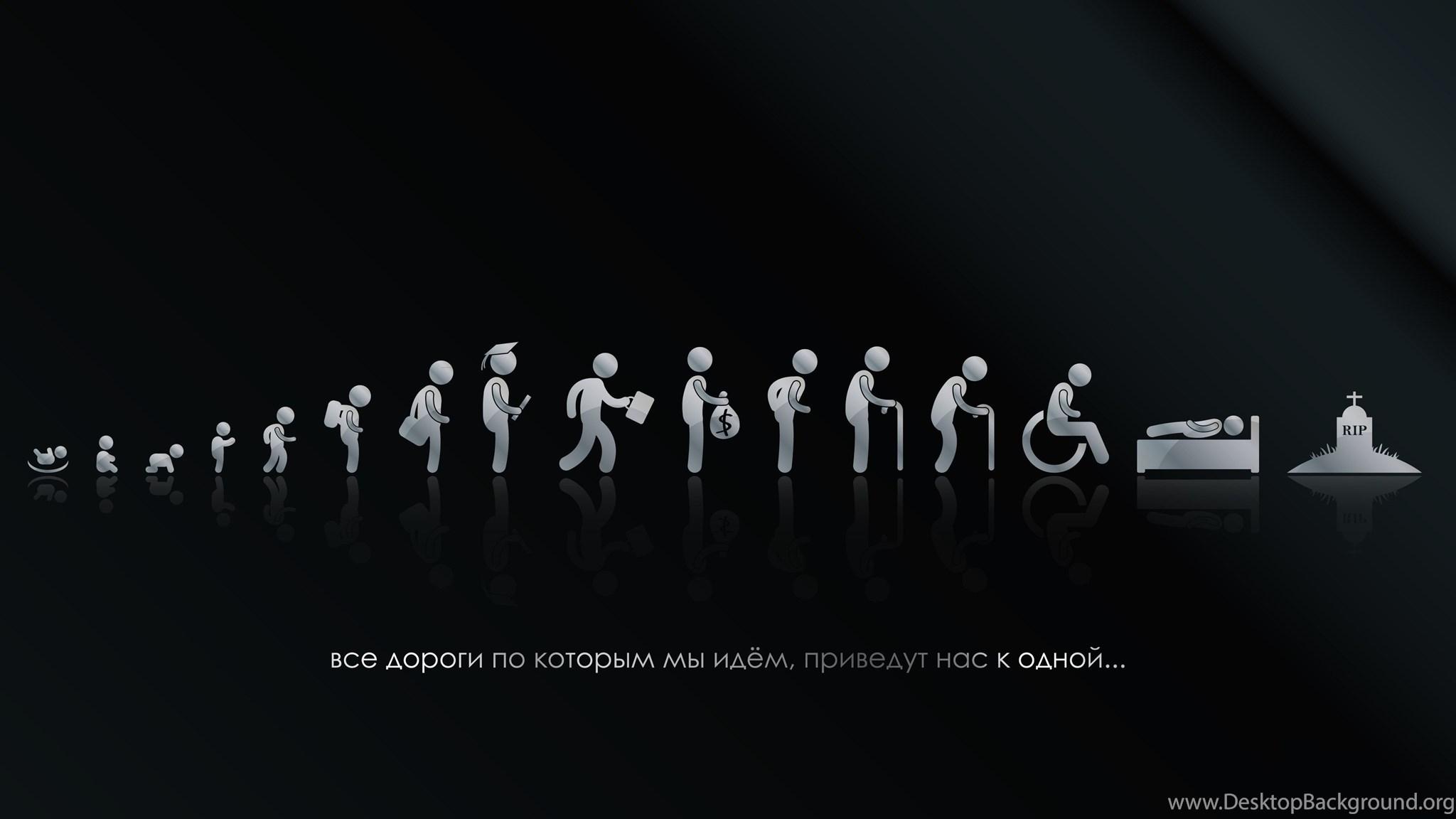 2048x1152 Funny Dual Screen Wallpaper