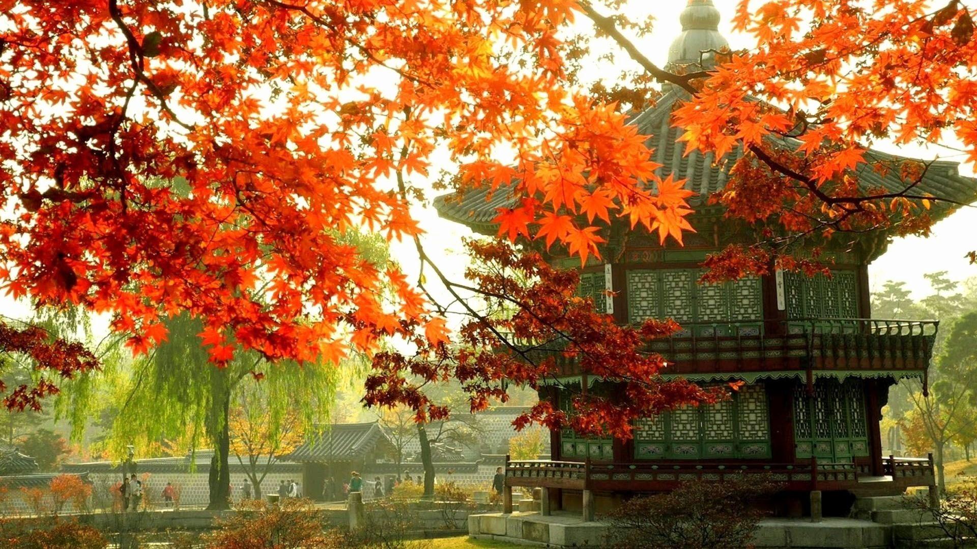 1920x1080 Korea Wallpaper Beautiful 38 HD Korea Wallpaper for Desktop