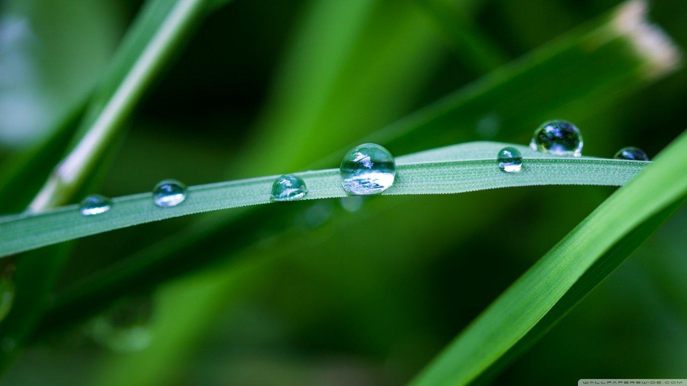 1366x768 Best Water Drop wallpaper for High Resolution HD
