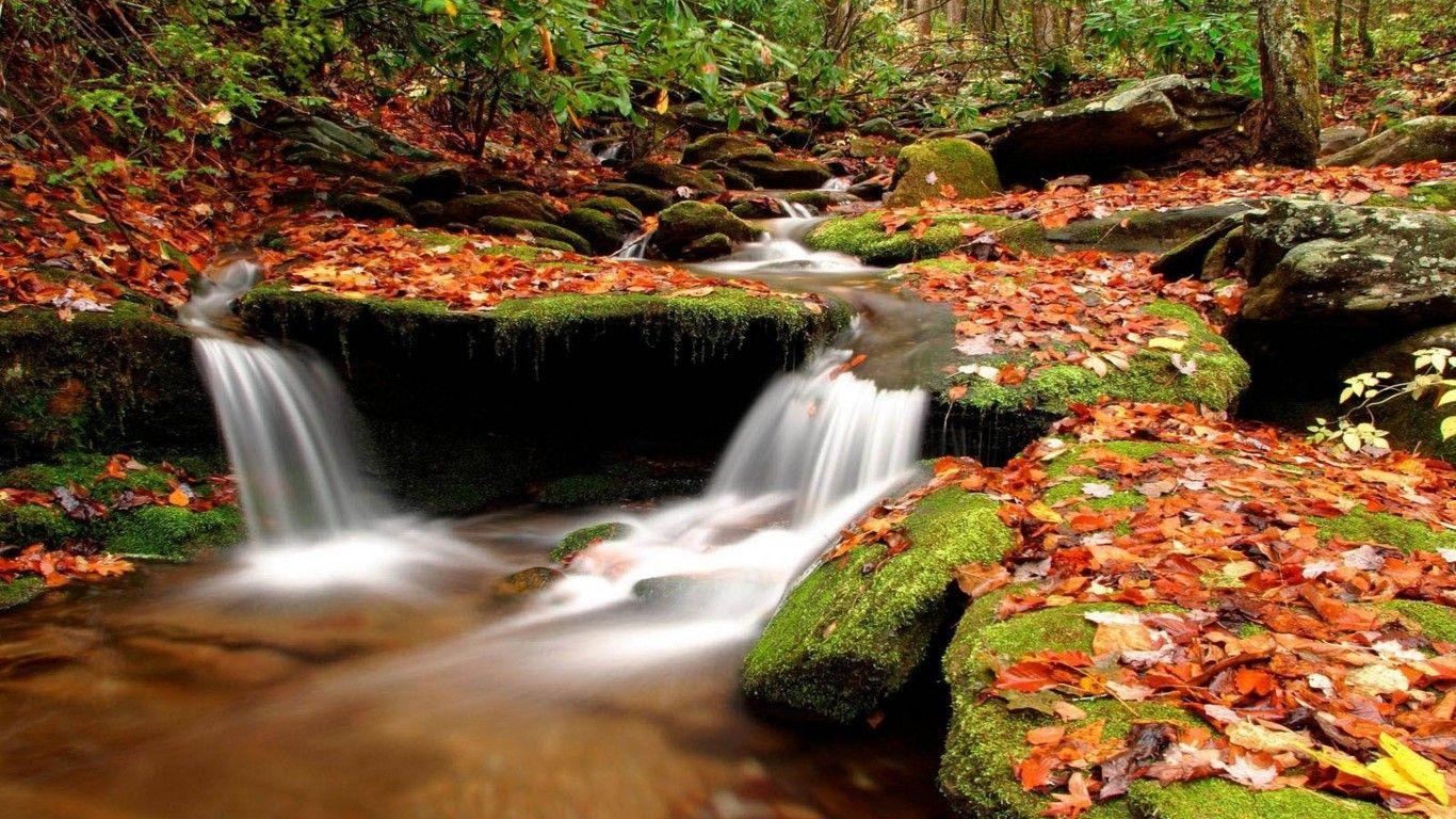 1366x768 Nature 3D Water Wallpaper HD :