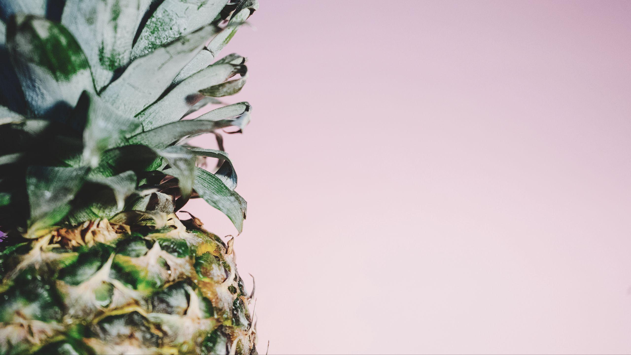 2560x1440 Download wallpaper 2560x1440 pineapple, fruit, minimalism