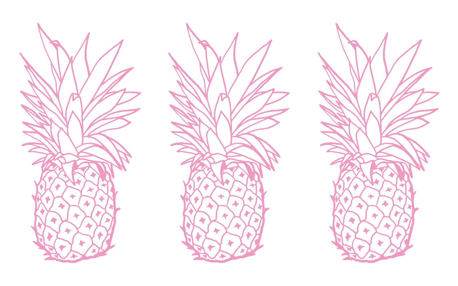 1856x1161 Free download Click here to download the Pineapple Express desktop