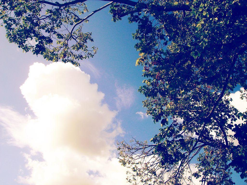 1024x768 Indie Wallpaper Tumblr