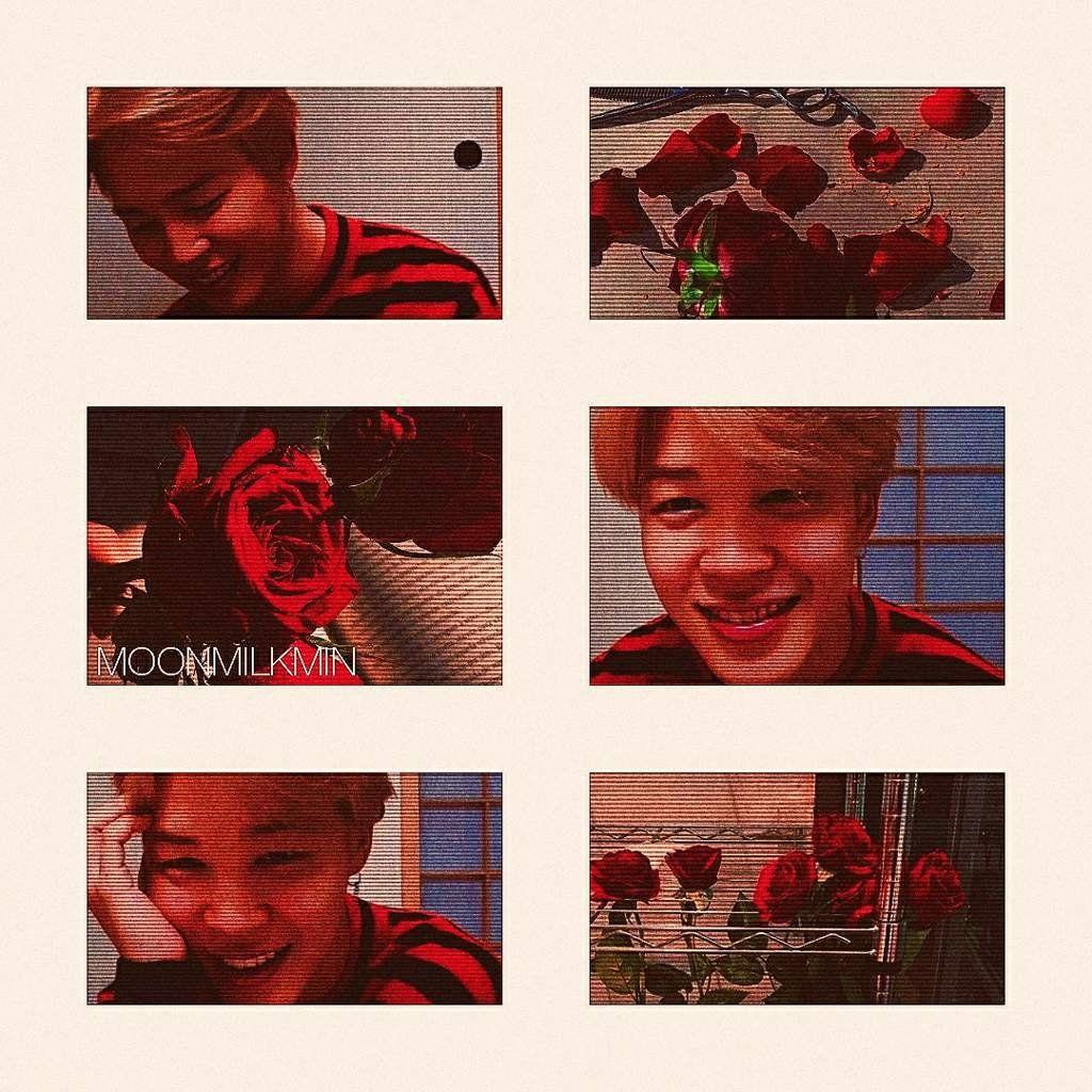 1024x1024 Aesthetic The Rose Wallpaper Kpop