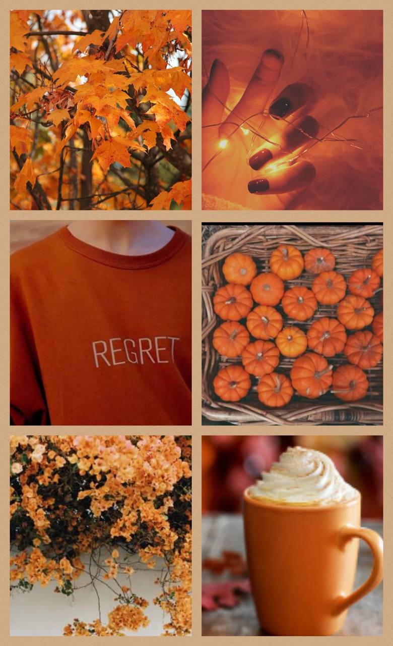 780x1280 Orange Jimin Aesthetic Wallpaper