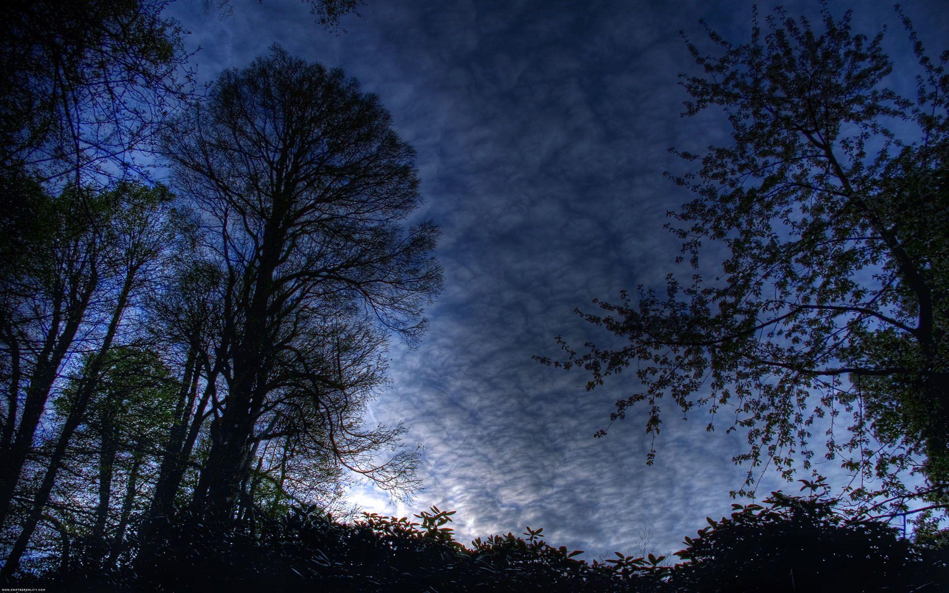 1920x1200 Widescreen, desktop, wallpaper, blue, morning, mac