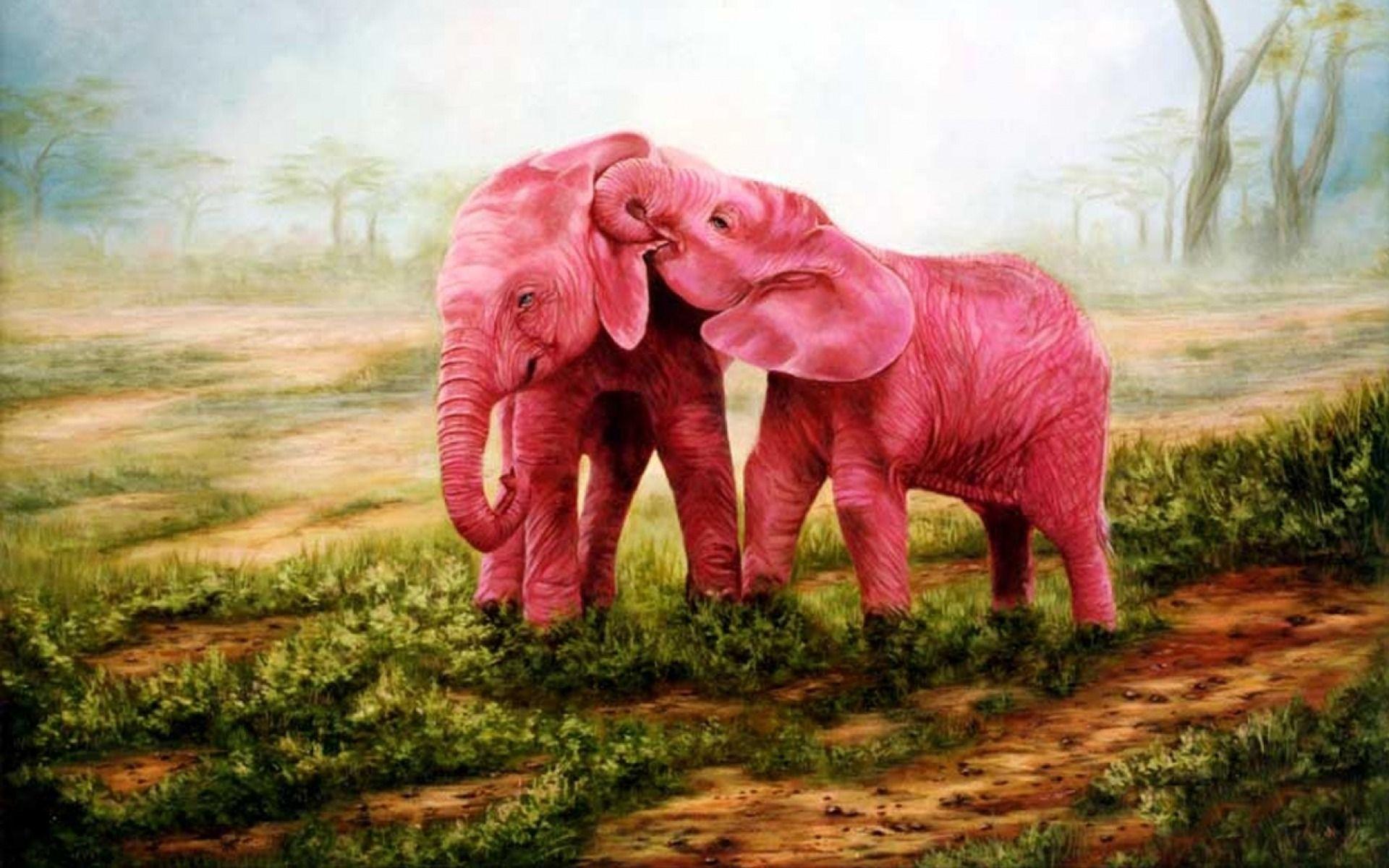 Pink Elephant Wallpapers Top Free Pink Elephant Backgrounds
