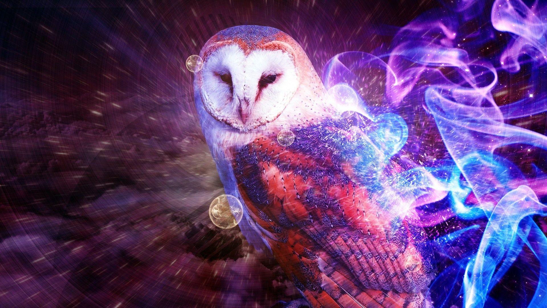 1920x1080 Some trippy owl thing. [1920x1080]