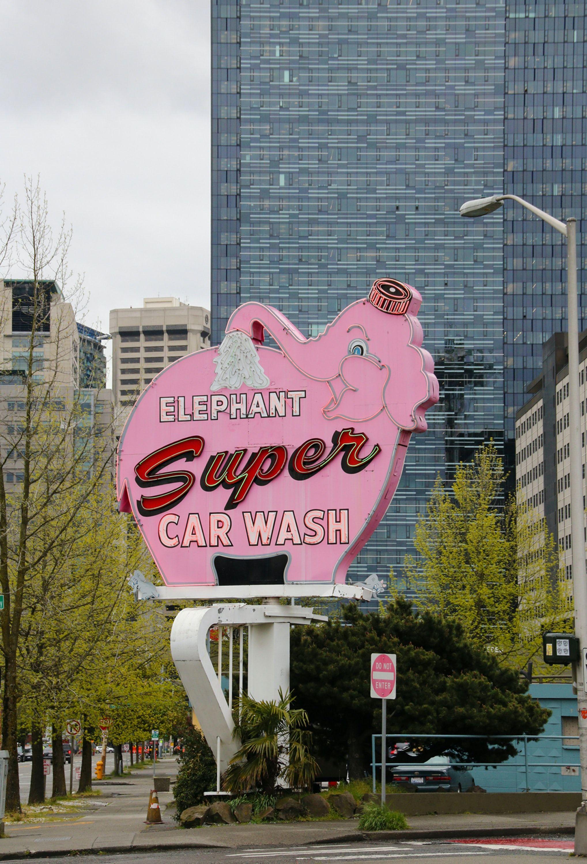 2037x3000 Pink Elephant Picture. Download Free Image